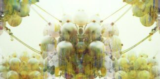 Mostra di Karen Bermann e Jason Vigneri-Beane a Venezia bony by jeweled