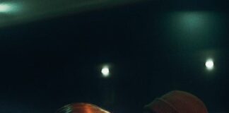 “Impulse”, la campagna dedicata all’amore di Nove25 nove25 campagna san valentino