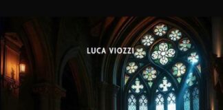 “Profluvio”: dopo i romanzi gialli “Delitto sotto le torri” e “Il terzo segreto”, il nuovo, avvincente noir di Luca Viozzi profluvio libro viozzi