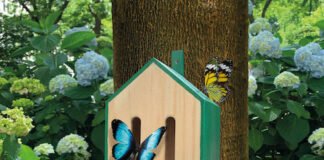 Idee green di Primavera per la famiglia con la Città del Sole casetta farfalle