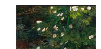 “L’Invenzione della Selva”, la raccolta di versi di Stefano Donno l'invenzione della selva libro