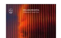 “Bruciare”, il primo romanzo pubblicato in Italia di Naomi Booth bruciare