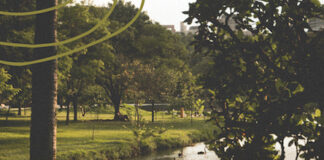 Nel cuore della maledizione: amore, destino e identità in “Dinah. La maledizione della Ninfa” dinah adele mereu