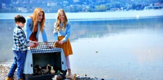 A “Dalla parte degli animali” la liberazione nel lago di Como degli uccelli acquatici salvati al Cras