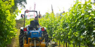 Sfiora gli 1,2 miliardi di euro l’export 2024 di macchinari agricoli made in Italy