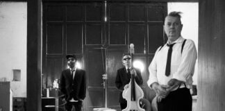 The Hormonauts: dal 2 maggio in radio e in digitale il nuovo singolo “Surfin’ bird”