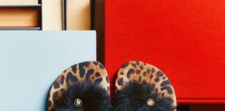 Havaianas e Dolce&Gabbana collaborano per una nuova collezione havainas dolce gabbana