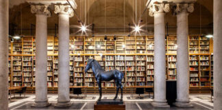 L’arte che rigenera: a Carrara un viaggio tra bellezza e benessere museo carrara