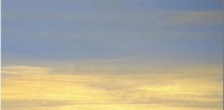 La coinvolgente forza silenziosa dell’espressività pittorica nel Color Field di Nicolas Pouvesle noor 1