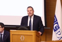 Italia-Giappone, Zoffili: “Buon lavoro a nuova Ambasciatrice Ono, che incontrerò per rafforzare ottimi rapporti bilaterali”