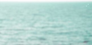 Happy No Hour, l’aperitivo senza orari e senza regole aperitivo estivo