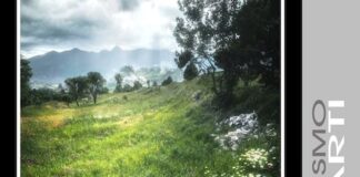 “C’è ancora speranza”, il libro di Angela Ragozzino c'è ancora speranza libro