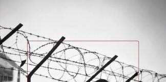 “Il segreto di mio padre”, il libro di Corinna von Bassewitz il segreto di mio padre libro