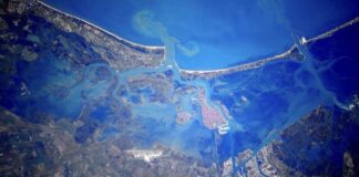 Venice Climate Week: il programma della sei giorni di eventi venice climate week 2025