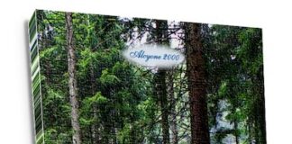 “Abies alba e altre poesie”: la voce silenziosa della natura secondo Ester Franzil abies alba libro