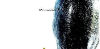 “La Stanza Illuminata”: il debutto intenso di Marianna Meles la stanza illuminata libro