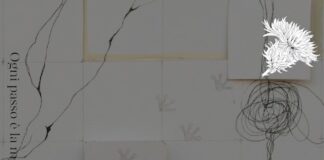 Ogni passo è la meta: il viaggio zen di Laura Bonelli per Selvatiche Edizioni ogni passo libro