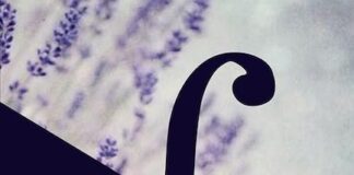 “Pentagramma di parole”: la nuova silloge poetica di Tiziana Celano pentagramma di parole tiziana celano