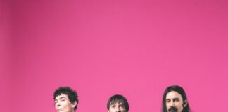 The Zen Circus: il 26 settembre esce “Il Male”