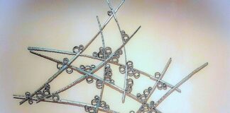 L’ariosità dei metalli e la sostanza poetica dell’emozione nelle sculture di Adriano Clama fantasia