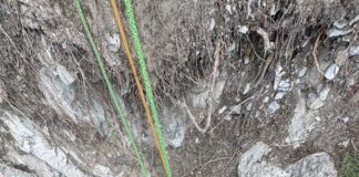 Salvataggio spettacolare a Bardonecchia: tre cani recuperati in cordata dalla Guardia di Finanza e CNSAS salvataggio