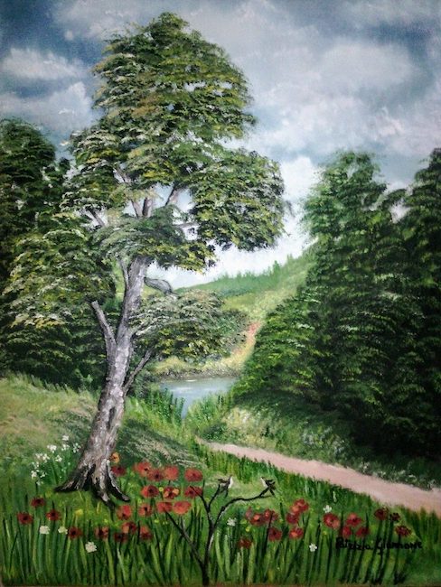 sentiero per il lago