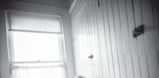 Bruce Springsteen, esce il cofanetto “Nebraska ’82: expanded edition”