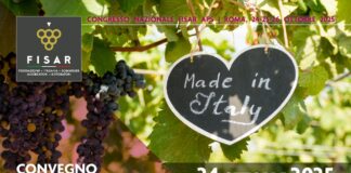 “Il vino come strumento di valorizzazione del made in Italy”, convegno venerdì 24 ottobre