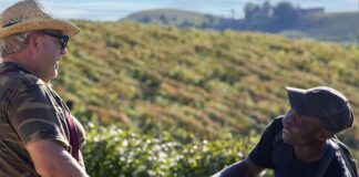 Valore condiviso, impatto reale: il nuovo Bilancio di Sostenibilità 2024 di Fontanafredda