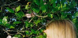 Alice Phoebe Lou: ‘Oblivion’, folk intimo e onirico alice phoebe lou oblivion album