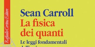 Sean Carroll: la fisica dei campi spiegata con chiarezza la fisica dei quanti libro