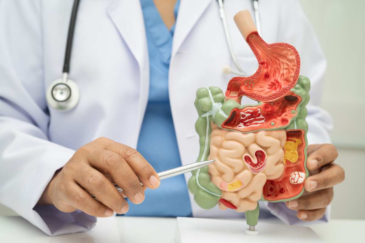 Medico intestino