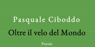 “Oltre il velo del Mondo” di Pasquale Ciboddo: poesia contro il progresso disumanizzante oltre il velo del mondo libri