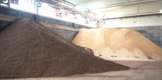 Mangimistica sostenibile: mercato globale +23% entro il 2030 grazie alla circular economy regardia still impianti