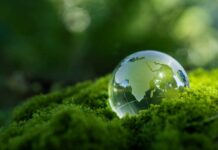 Tassa Green in arrivo: sei sulla lista nera? La guida per capire chi deve pagare e chi no Tassa Green in arrivo: sei sulla lista nera?