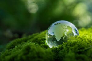 Tassa Green in arrivo: sei sulla lista nera?