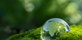 Tassa Green in arrivo: sei sulla lista nera? La guida per capire chi deve pagare e chi no Tassa Green in arrivo: sei sulla lista nera?