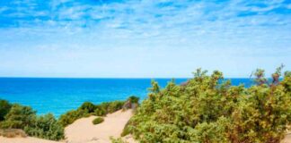 Sembra il Sahara, ma è in Italia: l’oasi segreta dove il deserto incontra acque da sogno Deserto in Italia