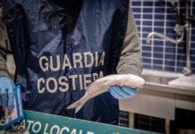 Guardia Costiera: operazione “Fish_Net” attiva su tutto il territorio nazionale, i dati