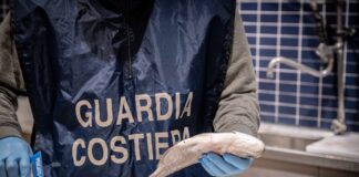 Guardia Costiera: operazione “Fish_Net” attiva su tutto il territorio nazionale, i dati