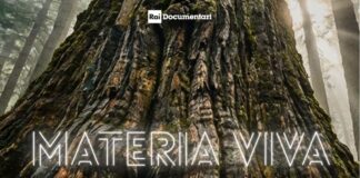 “Materia Viva”: il documentario sul legno altoatesino tra natura, innovazione e memoria