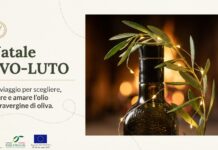 “Natale Evo-luto”: Aifo e Italia Olivicola lanciano la campagna nazionale che porta l’olio extravergine di oliva al centro delle feste