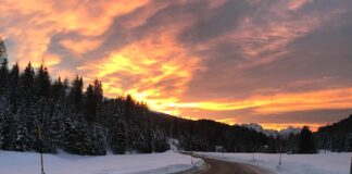 Ponte dell’Immacolata: 31,4 milioni di viaggi sulle strade Anas anas ss52 carnica