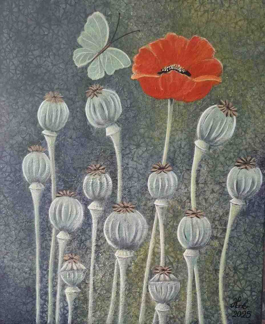 nell'ebbrezza del papavero