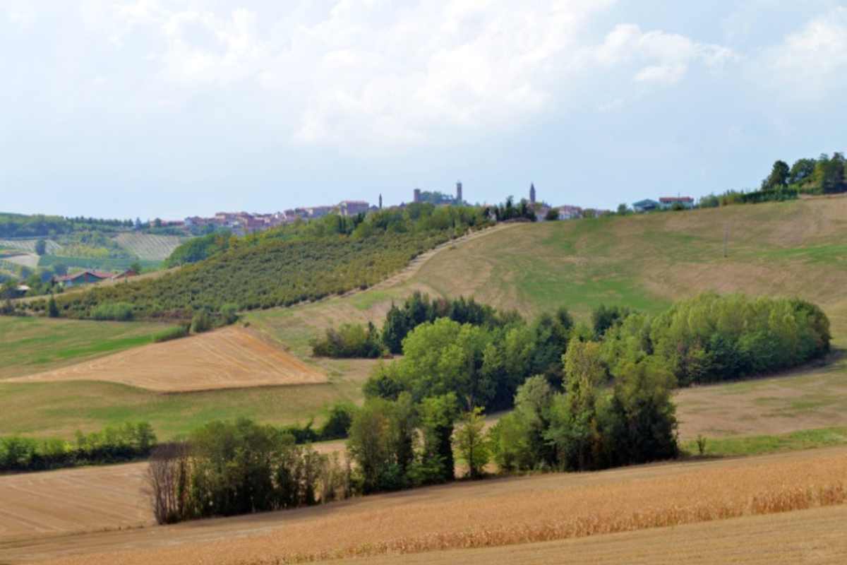 Cella Monte, Monferrato
