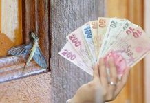 Con il nuovo bonus 2026, puoi finalmente dire addio agli insetti: scopri se hai i requisiti per chiederlo bonus zanzariere come funziona