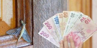 Con il nuovo bonus 2026, puoi finalmente dire addio agli insetti: scopri se hai i requisiti per chiederlo bonus zanzariere come funziona