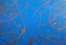 L’Arte Informale di Aika Hladíková, tra cosmo e natura per ascoltare gli echi sottili dell’universo echo