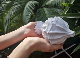 Al via all’Orto Botanico dell’Università di Palermo “Celibi. Storia di una migrazione botanica” dell’artista Donata Lazzarini