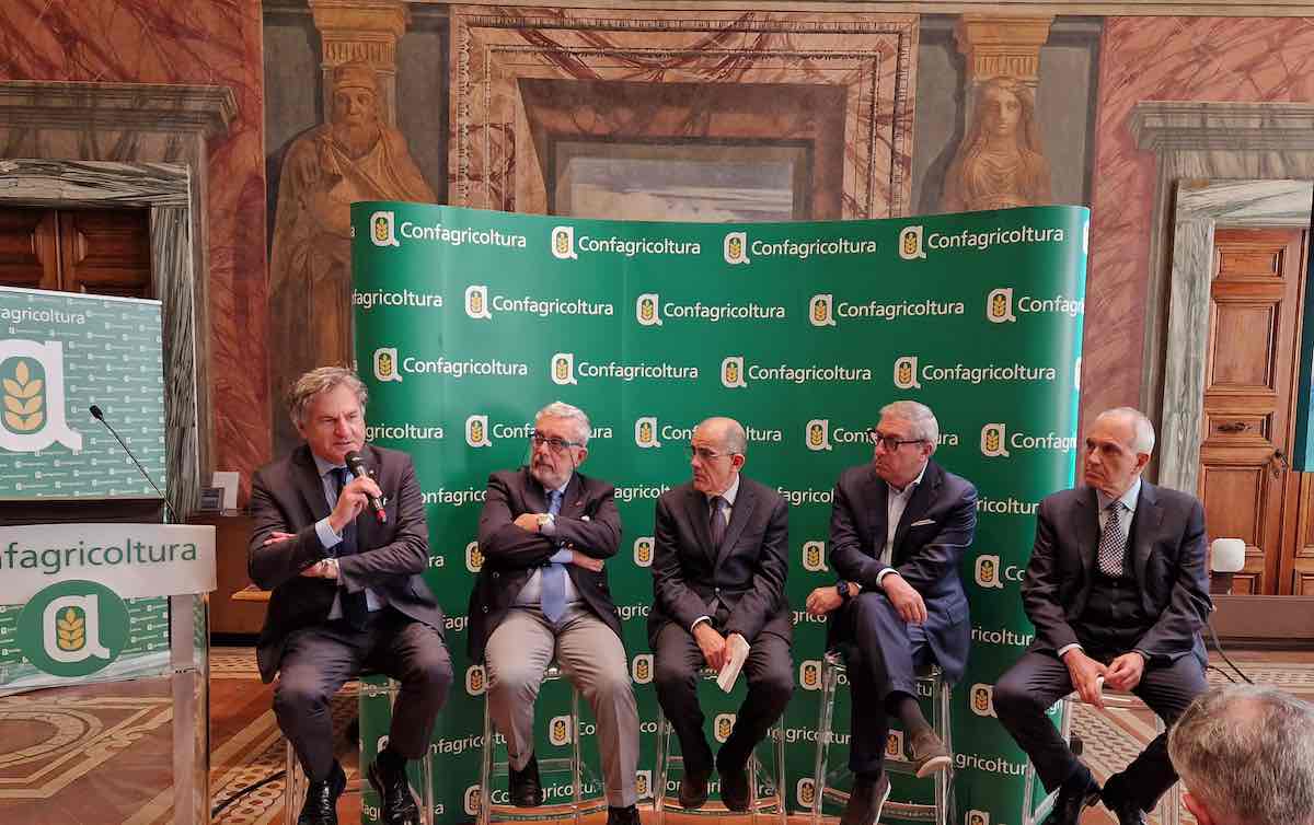 caponi, dali, staiti, morgante, gallo, franceschini